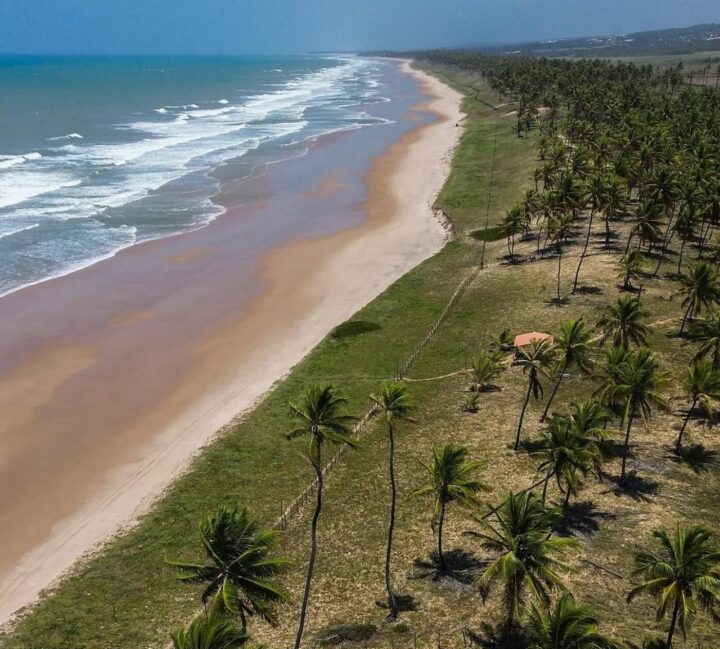 Praia no Litoral Norte conquista selo internacional Bandeira Azul; veja qual