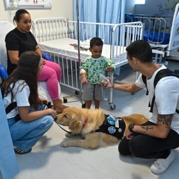 Conheça Diana, a golden retriever de 3 anos que leva alegria a crianças internadas em hospital de Salvador
