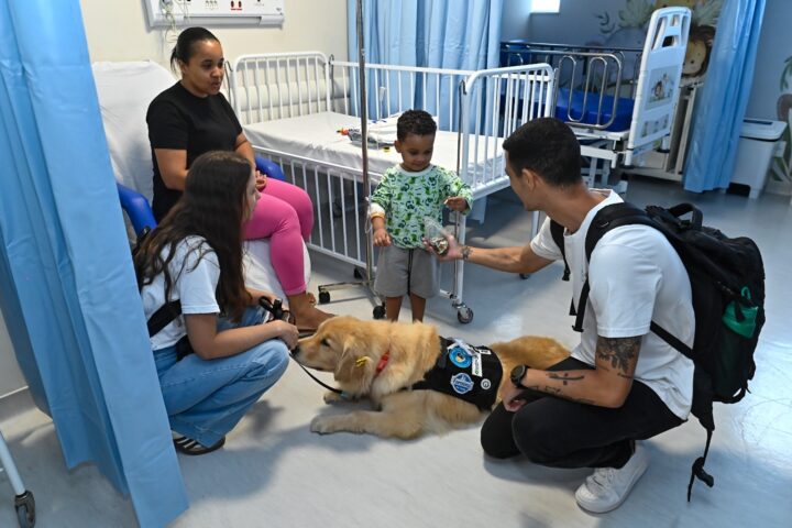 Conheça Diana, a golden retriever de 3 anos que leva alegria a crianças internadas em hospital de Salvador