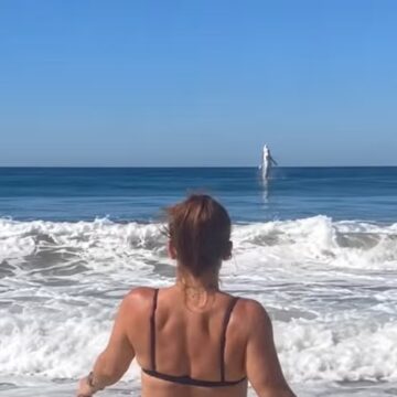 Vídeo mostra momento em que tubarão branco apavora banhistas saltando para fora do mar; assista