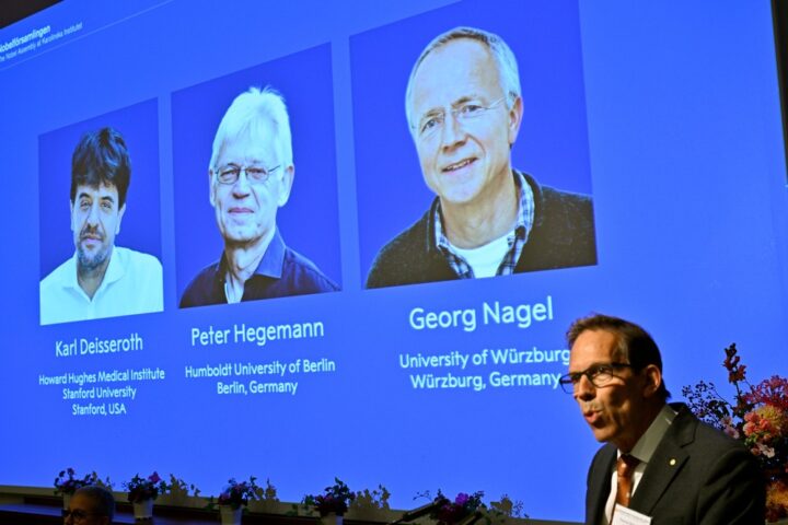 Nobel de Medicina: saiba como uma pequena alga ajudou cientistas a descobrir uma nova forma de controlar o cérebro