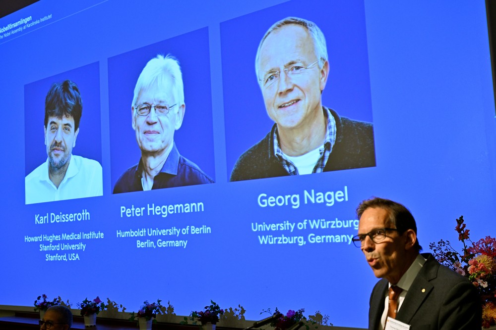 Nobel de Medicina: saiba como uma pequena alga ajudou cientistas a descobrir uma nova forma de controlar o cérebro