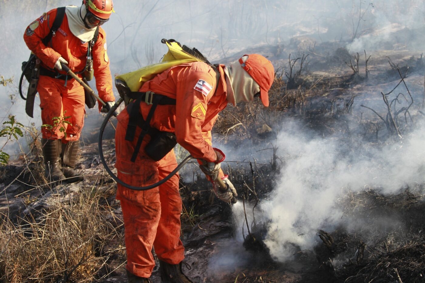 Bahia reduz focos de calor em 29% e reforça combate a incêndios florestais
