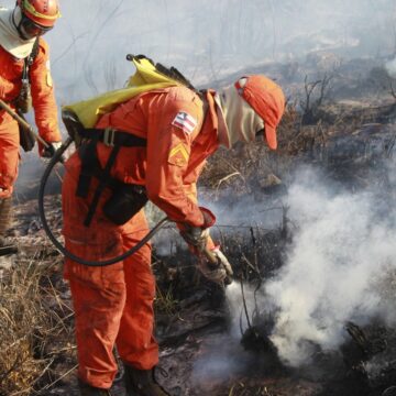 Bahia reduz focos de calor em 29% e reforça combate a incêndios florestais