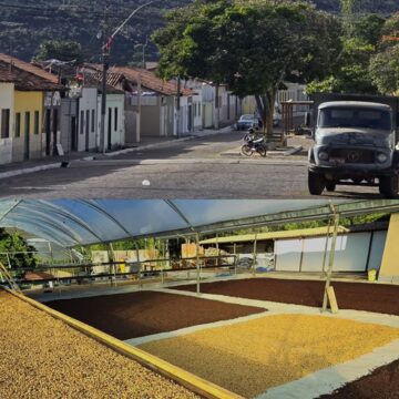 Cidade da Chapada Diamantina se destaca entre os melhores cafés do Brasil