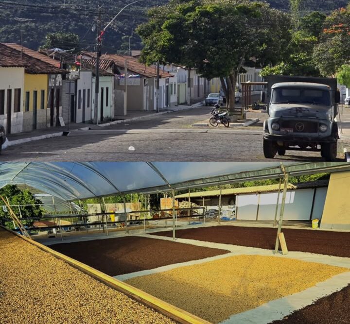 Cidade da Chapada Diamantina se destaca entre os melhores cafés do Brasil