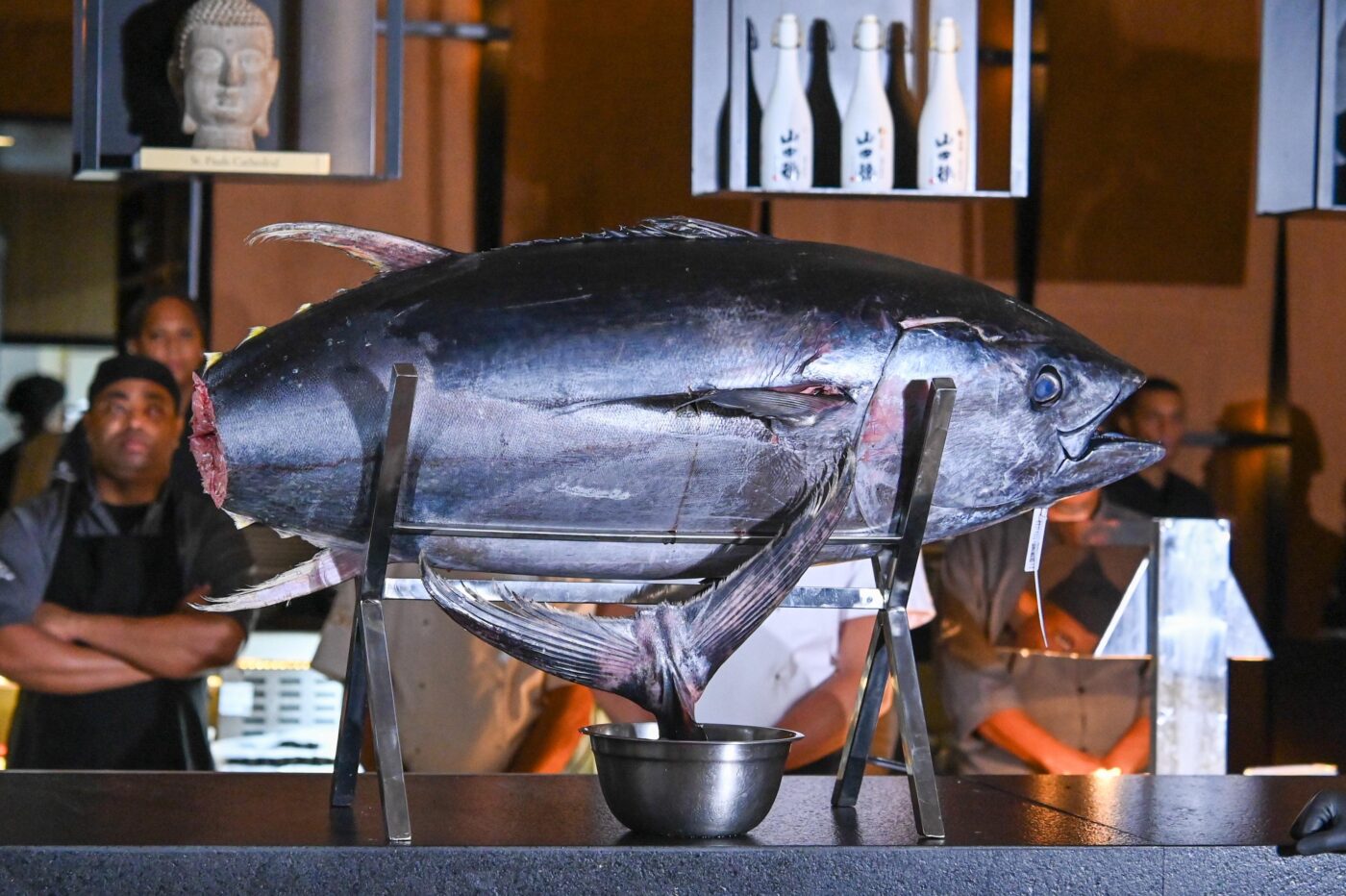Cerimônia Kaitai Bluefin