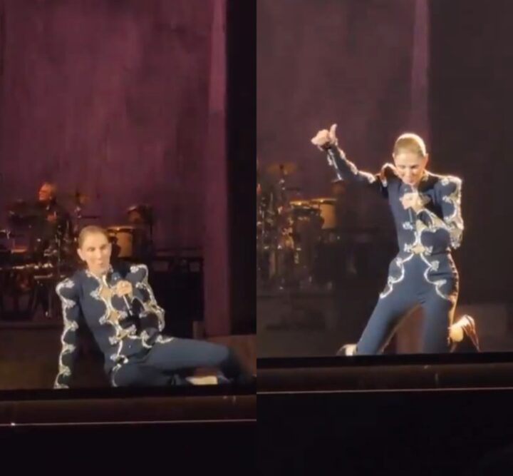 VÍDEO: Celine Dion cai durante show em Paris e assusta fãs