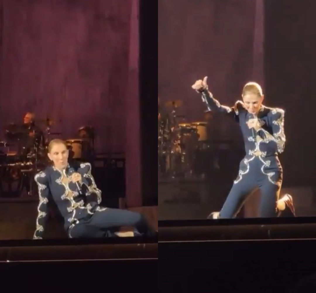 VÍDEO: Celine Dion cai durante show em Paris e assusta fãs