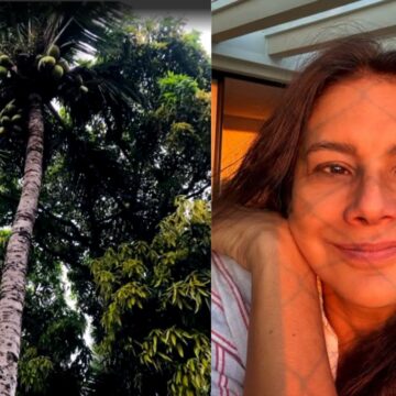Aos 57 anos, atriz mora em casa sustentável com árvores no meio da sala