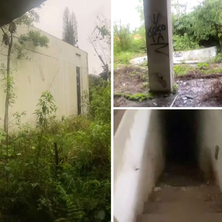 De partir o coração: mansão icônica onde morou Hebe Camargo está em ruínas, tomada pela vegetação e com pixações: ‘De dar medo’