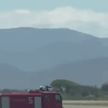Avião da Embraer atinge zebra, e piloto faz pouso de emergência ‘de barriga’; vídeo