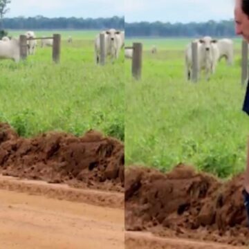 Aos 53 anos, ex-jogador encontra refúgio em fazenda milionária, onde investe e planta soja