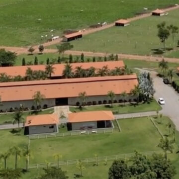 Dupla sertaneja investe em fazenda com uma das maiores criações de gado nelore do Brasil