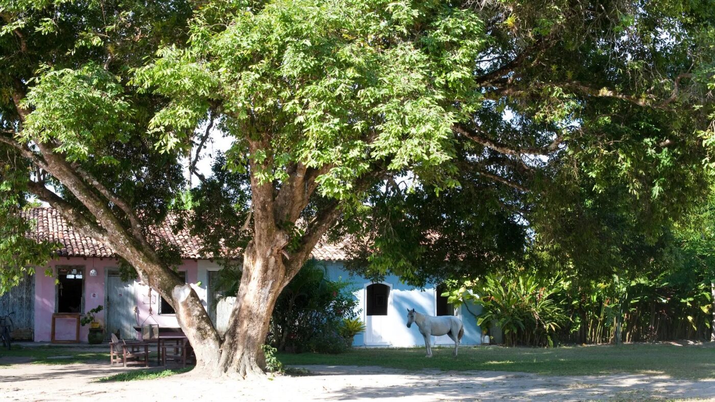 Hotel baiano é eleito o melhor resort da América do Sul pela oitava vez; veja fotos