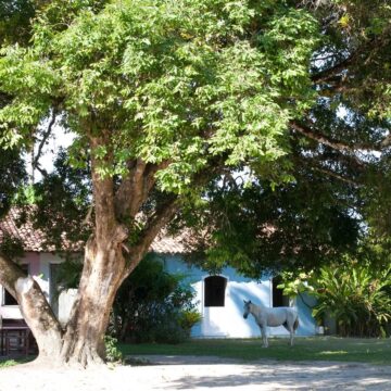 Hotel baiano é eleito o melhor resort da América do Sul pela oitava vez; veja fotos