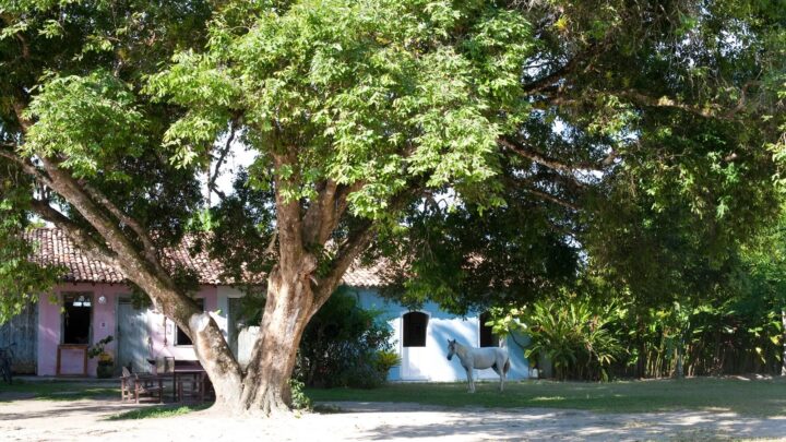 Hotel baiano é eleito o melhor resort da América do Sul pela oitava vez; veja fotos