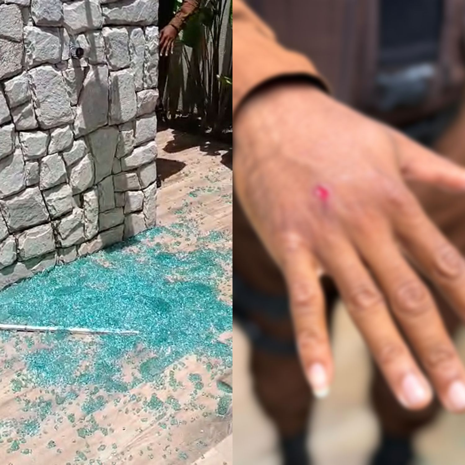 Macaco invade casas de condomínio, bebe álcool, toma remédios e ataca pessoas em Salvador