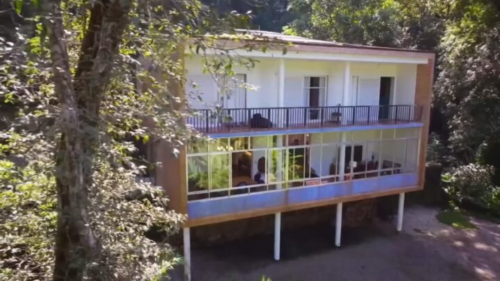 Com conceito de floresta urbana, casal de famosos vive em mansão rodeada pela mata no Rio de Janeiro