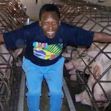 Fazenda que foi refúgio de Pelé durante 38 anos chama atenção com anúncio de R$ 35 milhões