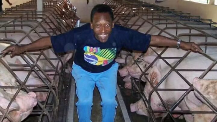 Fazenda que foi refúgio de Pelé durante 38 anos chama atenção com anúncio de R$ 35 milhões