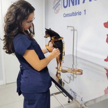 Faculdade de Salvador promove Outubro Rosa Pet com atendimento veterinário para cães e gatos