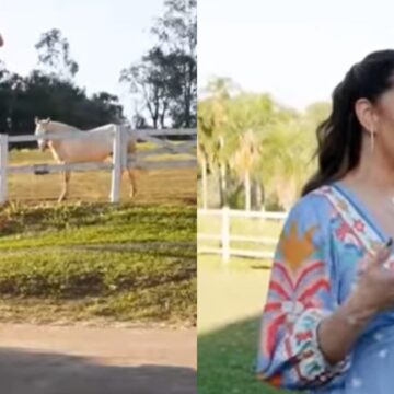 Aos 55 anos, apresentadora transforma fazenda familiar em refúgio para animais resgatados