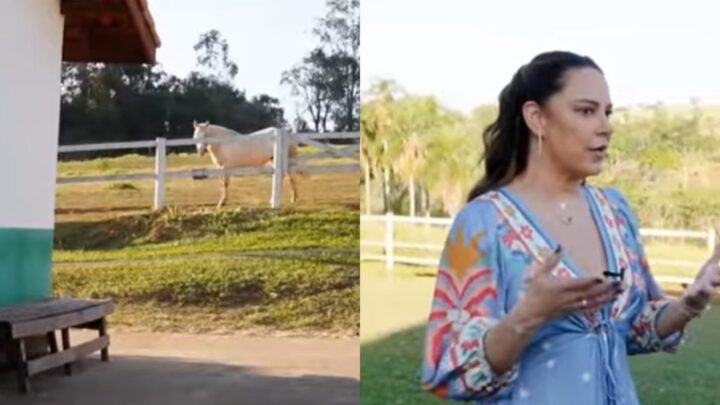 Aos 55 anos, apresentadora transforma fazenda familiar em refúgio para animais resgatados