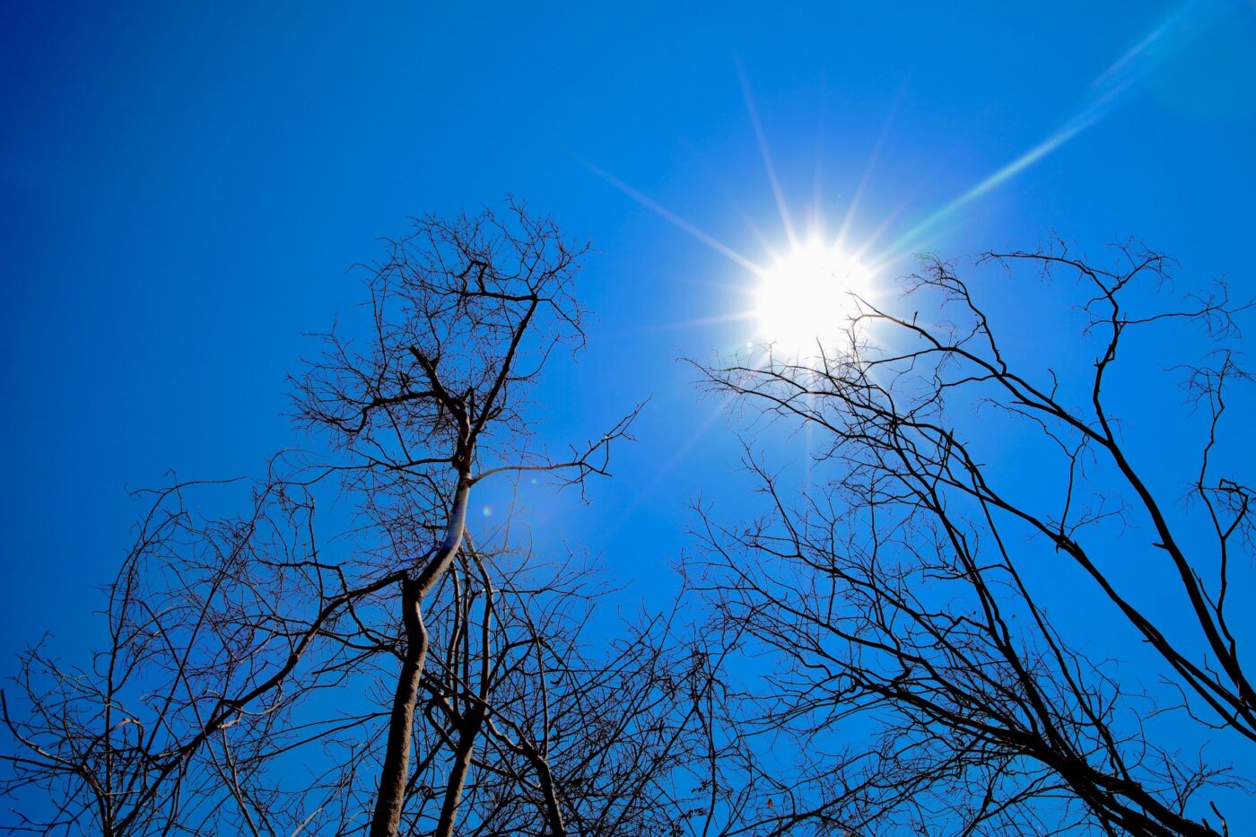Bahia pode registrar temperaturas acima de 41°C e umidade em níveis críticos